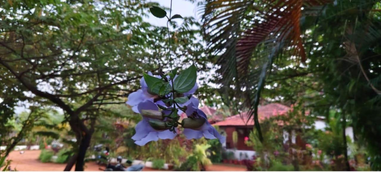 Niyati Home Stay Gokarna  Εξωτερικό φωτογραφία